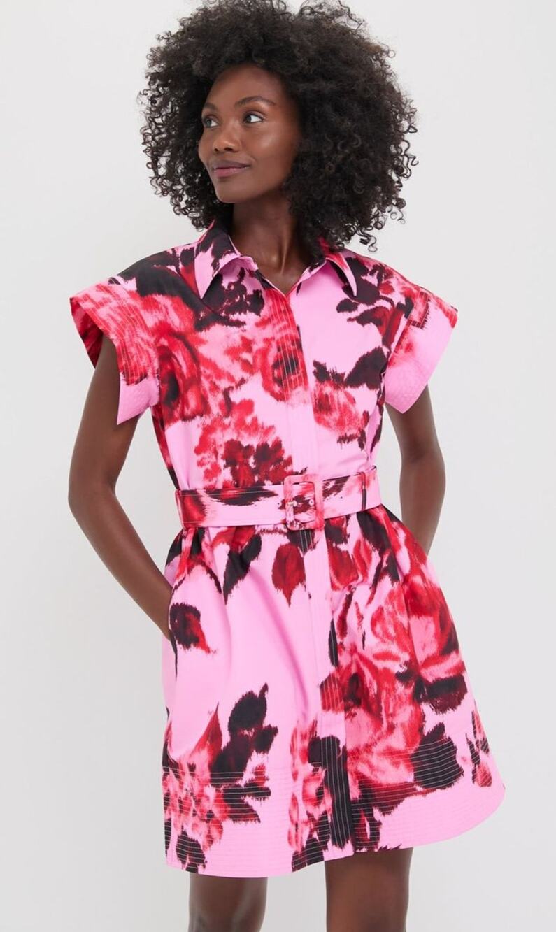 Tuckernuck Falling Roses Mini Chloe Dress NWT
